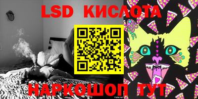 прущие грибы Краснокаменск