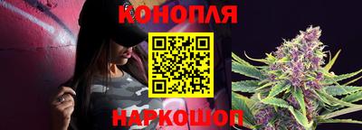 прущие грибы Краснокаменск