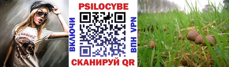 Псилоцибиновые грибы прущие грибы  mega ССЫЛКА  Коломна 
