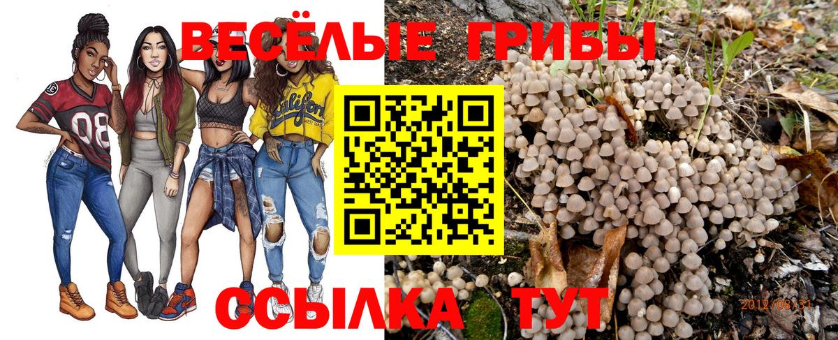 Коломна  Псилоцибиновые грибы мухоморы  купить  цена  Вход с VPN 